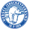 1 på U17 Landslaget! Frisk Asker Ishockey junior gratulerer Christian Vethe Bye med uttaket.