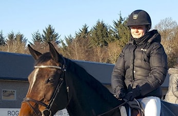 E-stevne INM og HM unghest Arendal og Grimstad Rideklubb 25-28.oktober 2018