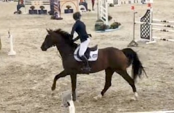 L/E-stevne Sandnes og Jæren Rideklubb 24-26.august 2018
