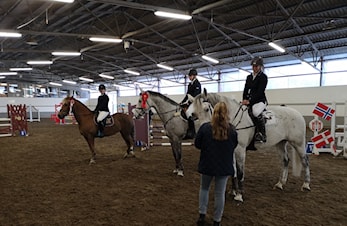 D-stevne Sandnes og Jæren Rideklubb 26-27.januar 2019