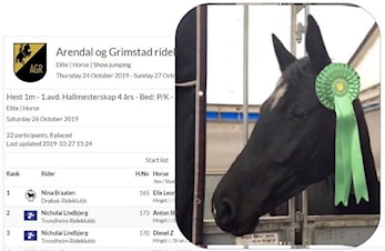 E-stevne og Hallmesterskap Unghest Arendal og Grimstad Rideklubb 24-27.10.2019
