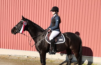 L-stevne Rogaland Rideklubb 05-06.oktober 2019