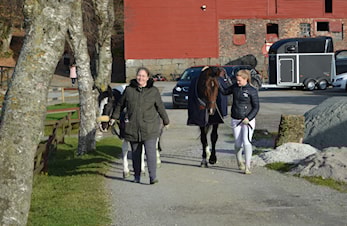 D-stevne Rogaland Rideklubb 02-03.november 2019