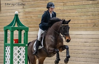 D-stevne Kolnes Rytterklubb 16-17.februar 2019