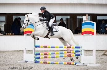 D-stevne Sandnes og Jæren Rideklubb 23-24.mars 2019