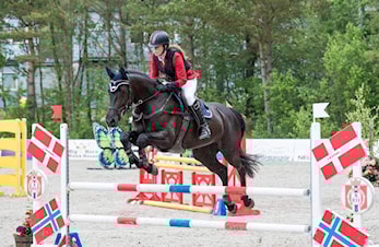 L-stevne Sandnes og Jæren Rideklubb 08-10.juni 2019