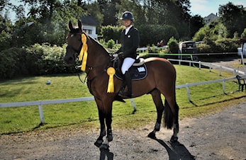D-stevne Arendal og Grimstad Rideklubb 04-07.juli 2019
