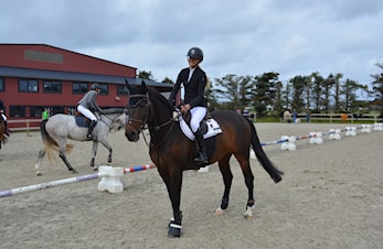 D-stevne Stavanger og Sola Rytterklubb 14-15.september 2019