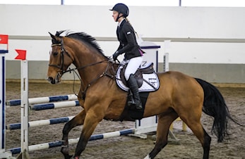 D-stevne Sandnes og Jæren Rideklubb 18-19.januar 2020