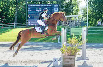 Landsmesterskap Drammen og Omegn Rideklubb 29.07-02.08.2020