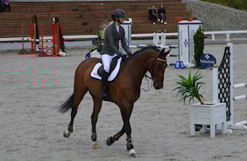 D/L/E-stevne Sandnes og Jæren Rideklubb 21-23.august 2020