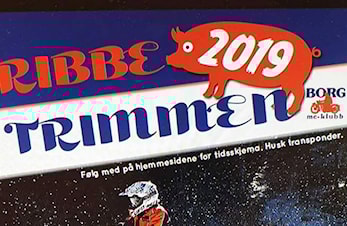 Ribbetrimmern 2019