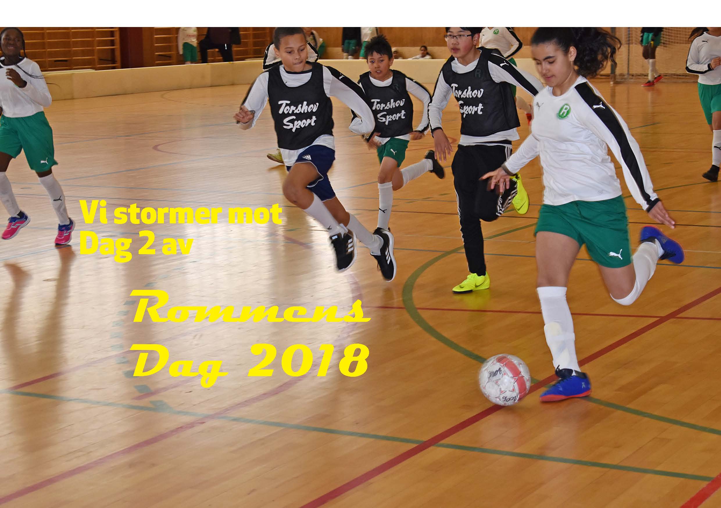 Innbydelse Dag 2 av Rommens Dag 2018 i 2019!