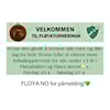 Fløyaturneringen 2025