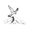 Falkebergrennet 2019