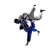 Oppstart av Judo og Brasiliansk Jiu-Jitsu