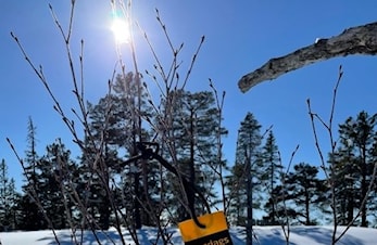 Dagens løype på Skaunakjølen 2022