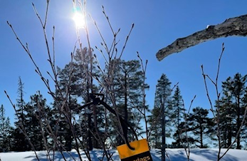 Dagens løype på Skaunakjølen 2023