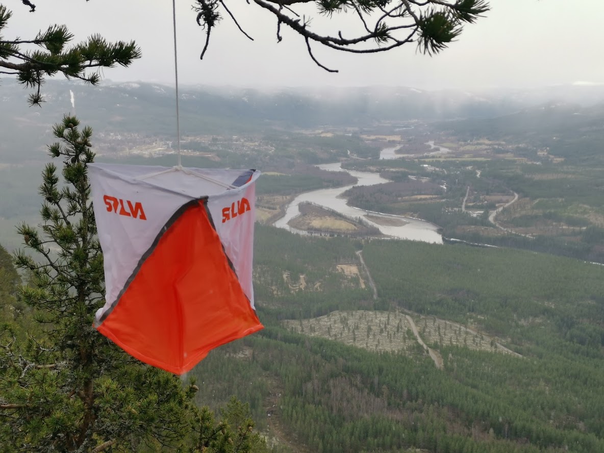 Orientering, Koppang-Cup, Uke 20, 2020