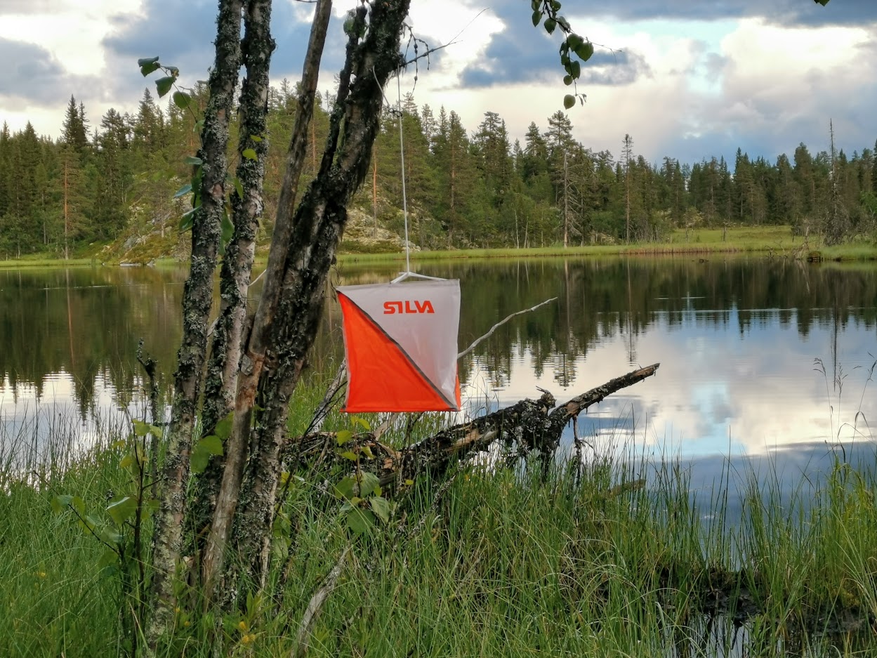 Østkjølen Race, Sommeren 2020