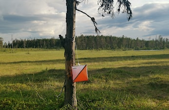 Østkjølen Sommer-O 2023