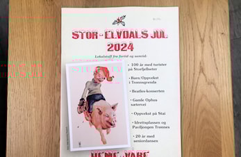 Stor-Elvdals Jul/ Heme Våre 2024