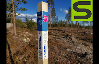 Stolpejakten - Frisk på Koppang 2024