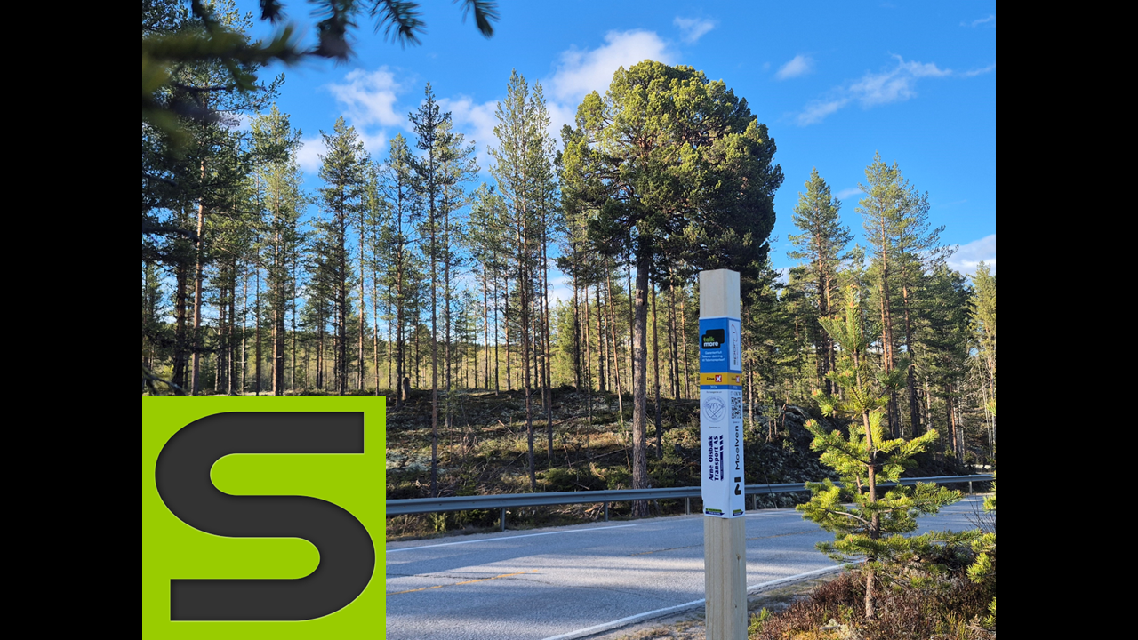 Stolpejakten - Frisk på Koppang 2026
