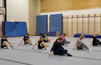 INNØVING AV FRITTSTÅENDEPROGRAM