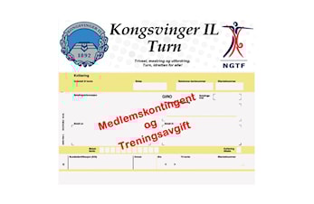 FAKTURA FOR MEDLEMSKONTINGENT OG TRENINGSAVGIFT