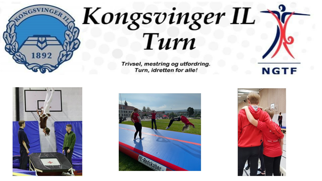 Har du barn som elsker å ha hodet ned og rumpa opp, som tilbringer masse tid på trampolina eller tar salto og back-flip?