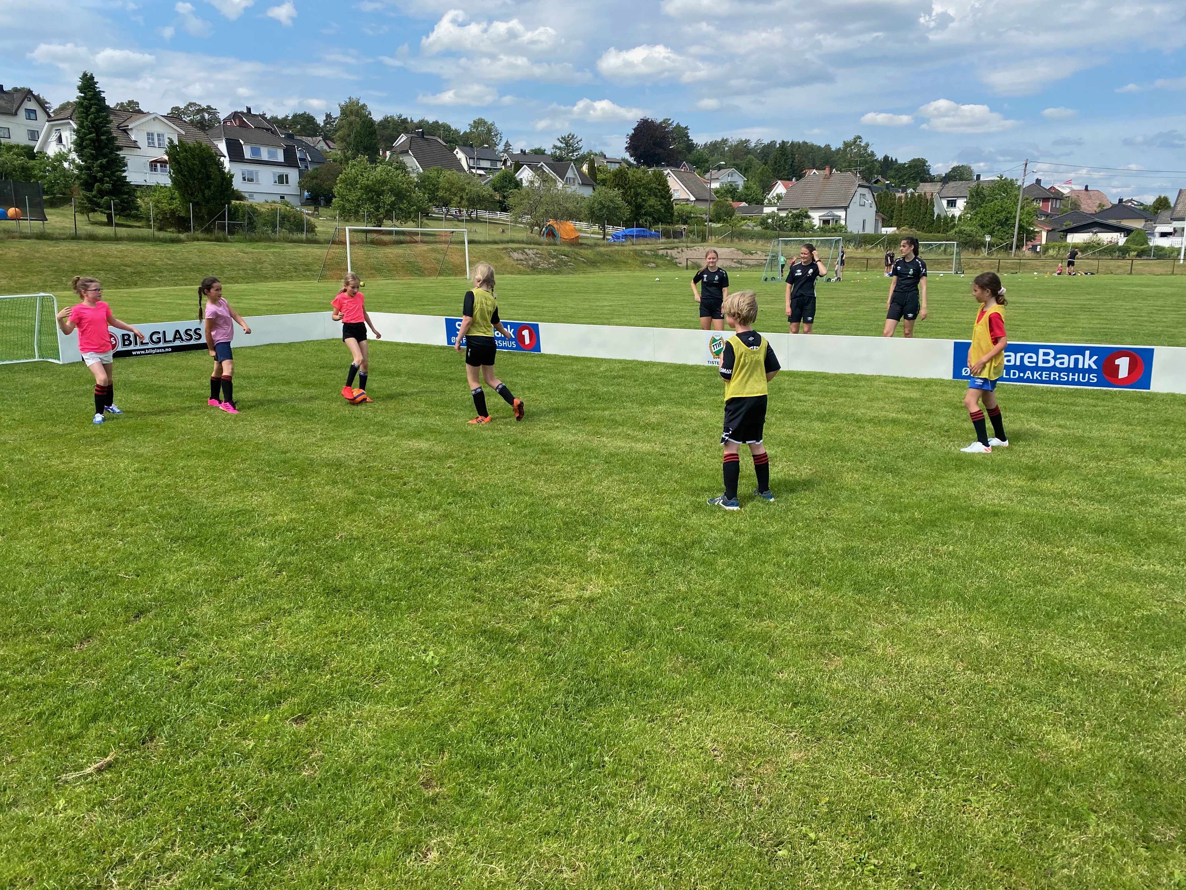 TTIF trenger klubbdommere!