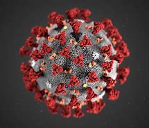 Koronavirus - ny oppdatering