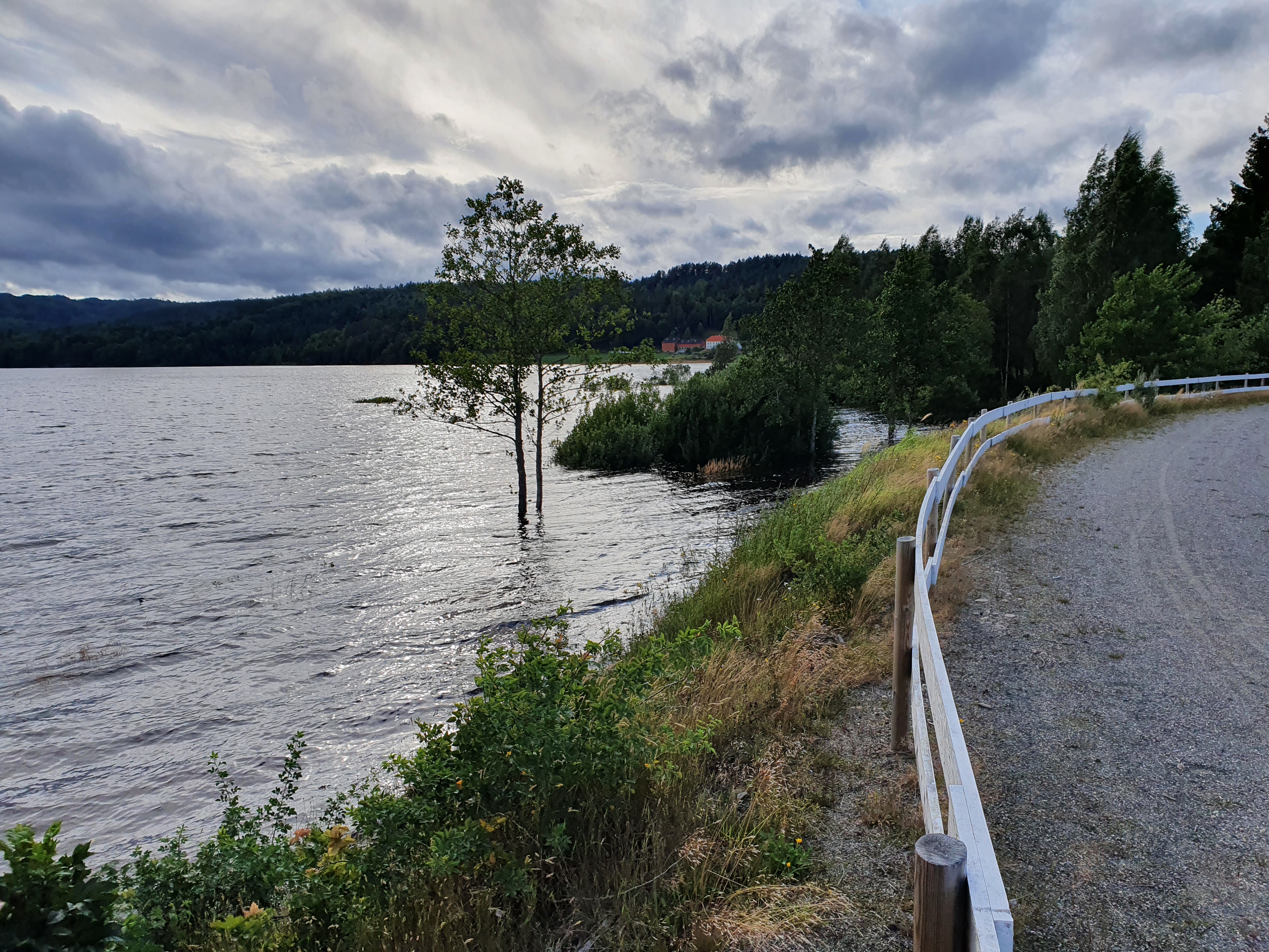 Femte sommersprintcup løp - tatt av flommen!