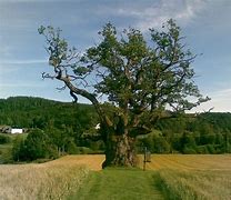 Nye treninger på Mollestad!