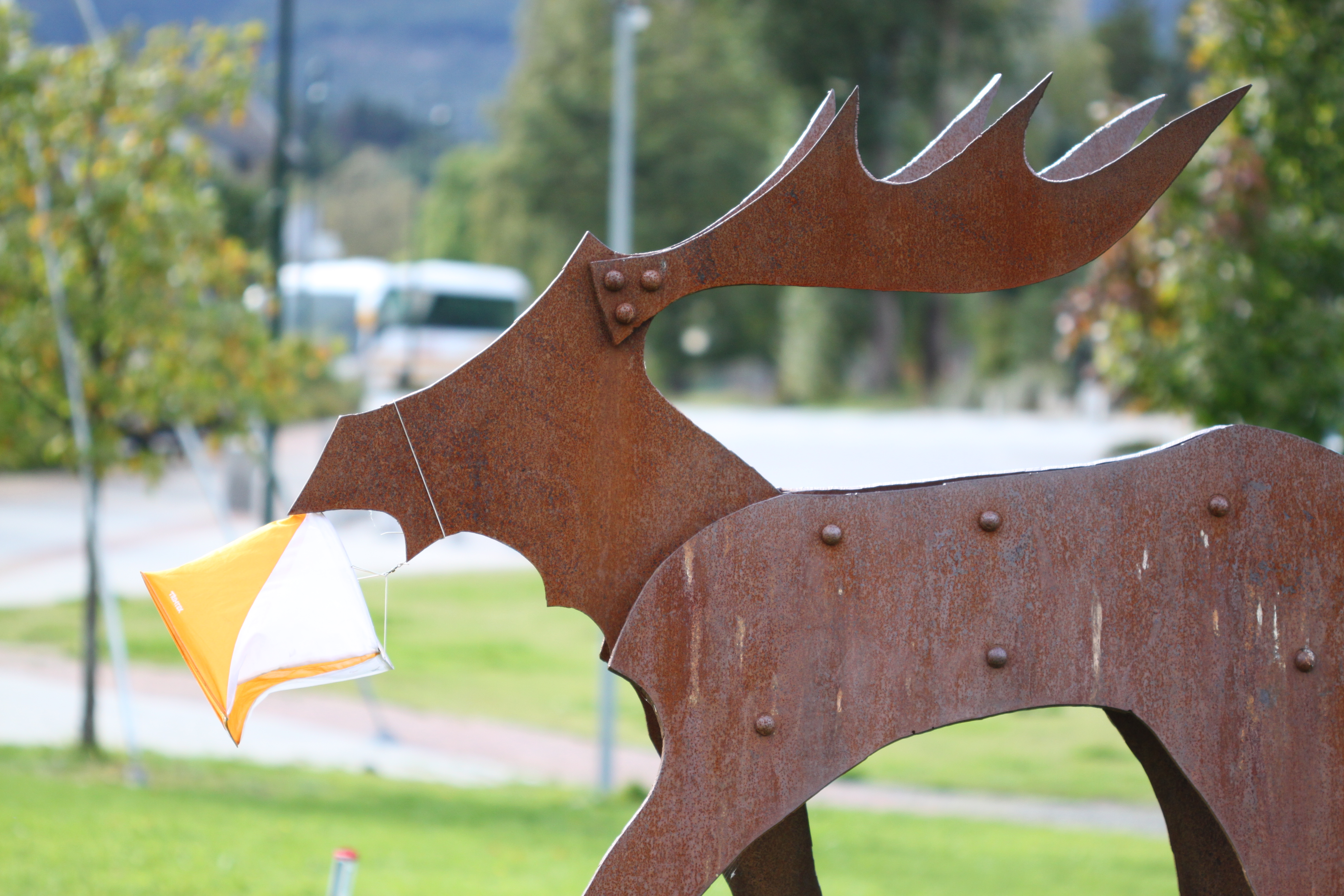 Treningsløp resten av høstsesongen