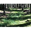 Fornøyde løpere på Risvann og treningsløp tirsdag 26.8.