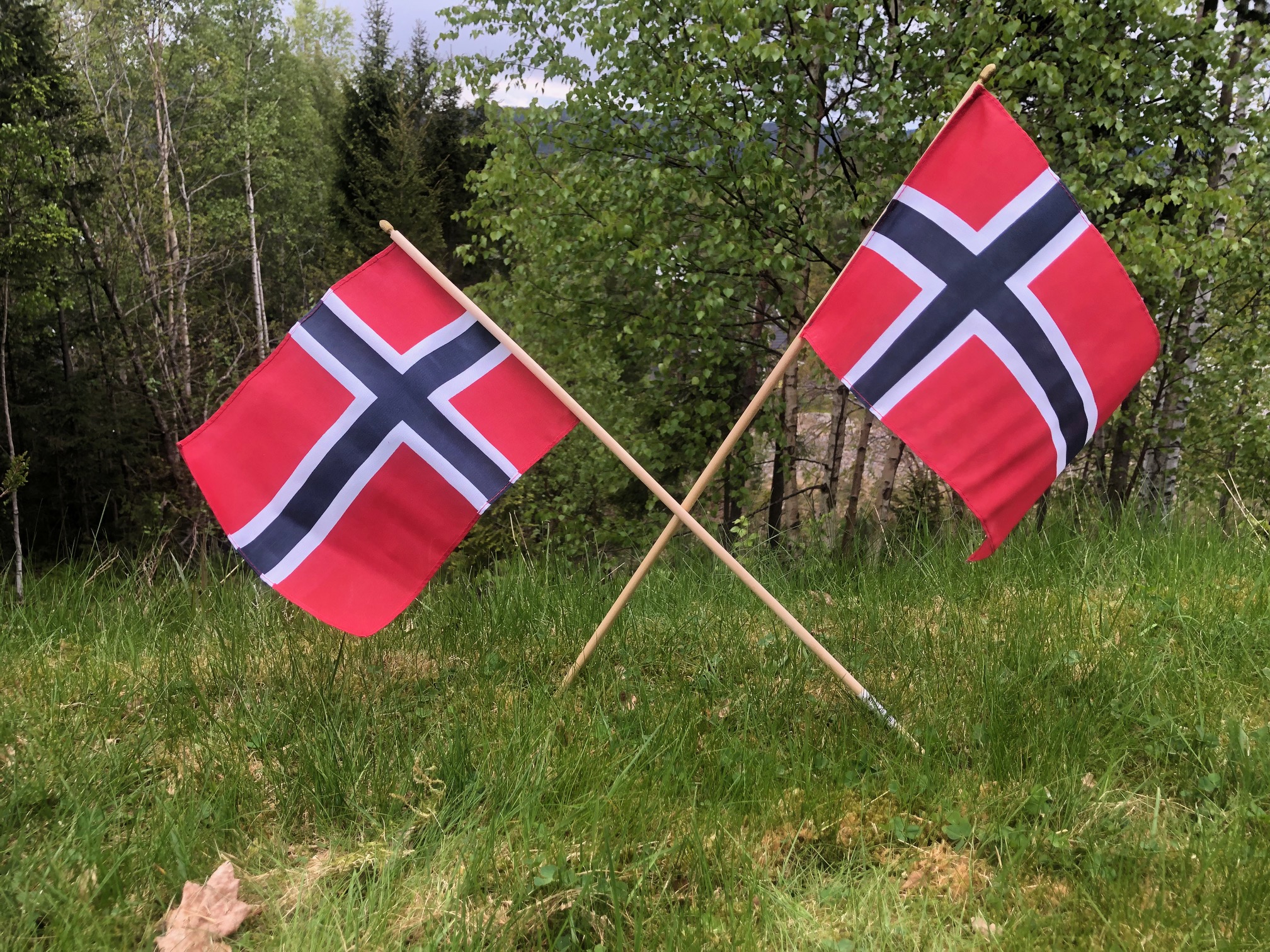 O-gruppa i folketoget 17. mai