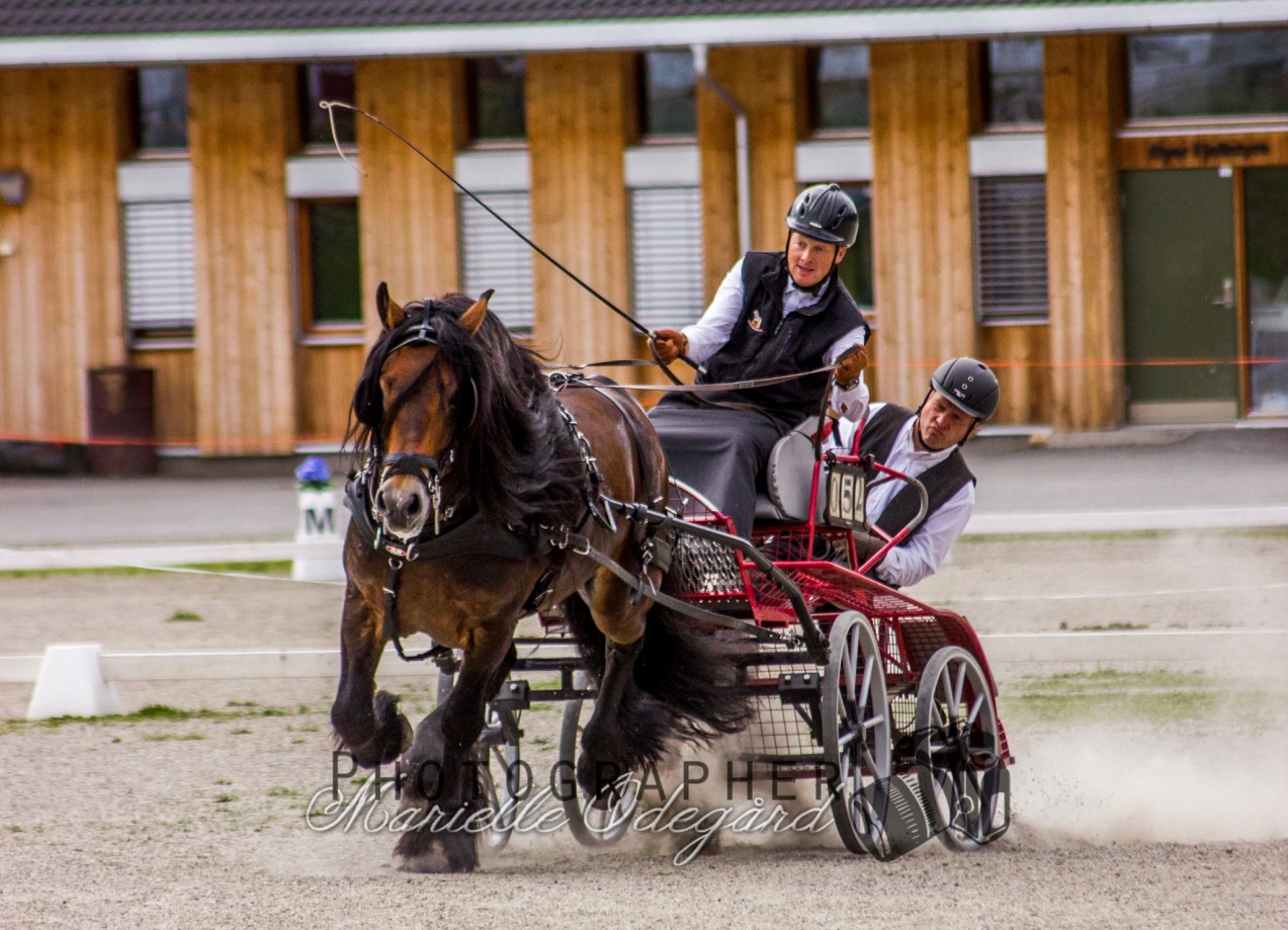 Stadig nye aktiviteter på ridebanen vår!