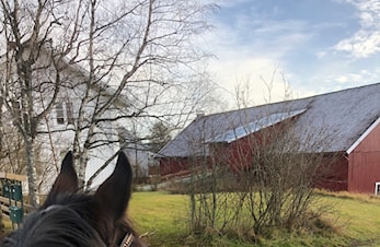 Årsmøtepapirer til digitalt årsmøte 18. mars 2021 kl 1900