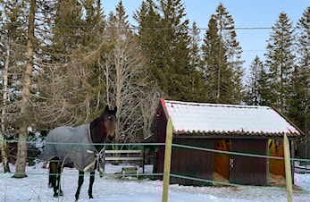 Årsmøtepapirer til årsmøtet 9. mars 2022