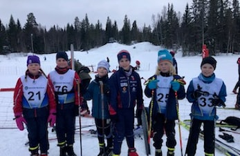 Aktivitetsplan vinteren 2019