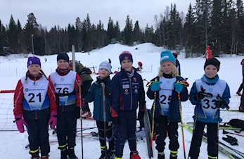 Årsplan utøvere ski