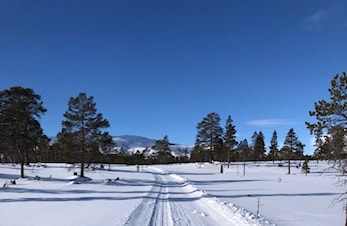 Siste nytt Granåsfjellrennet 2019
