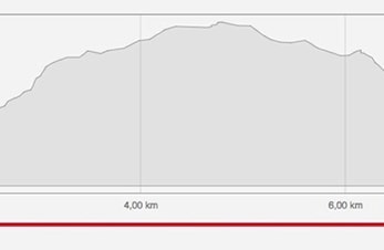 Hundåskarven Rundt 2019