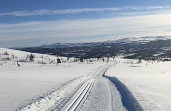 Granåsfjellrennet 2022