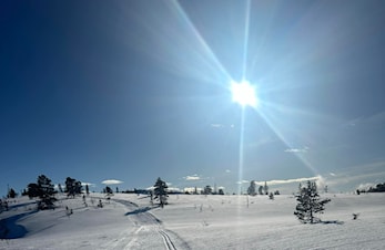 Granåsfjellrennet - Seedingsrenn til Birken 2025