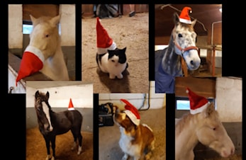 Julehilsen fra Heidi!