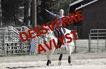 Dessverre - dessverre - dessverre… Avlysning!