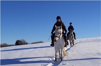 Hjelp oss med bilder!